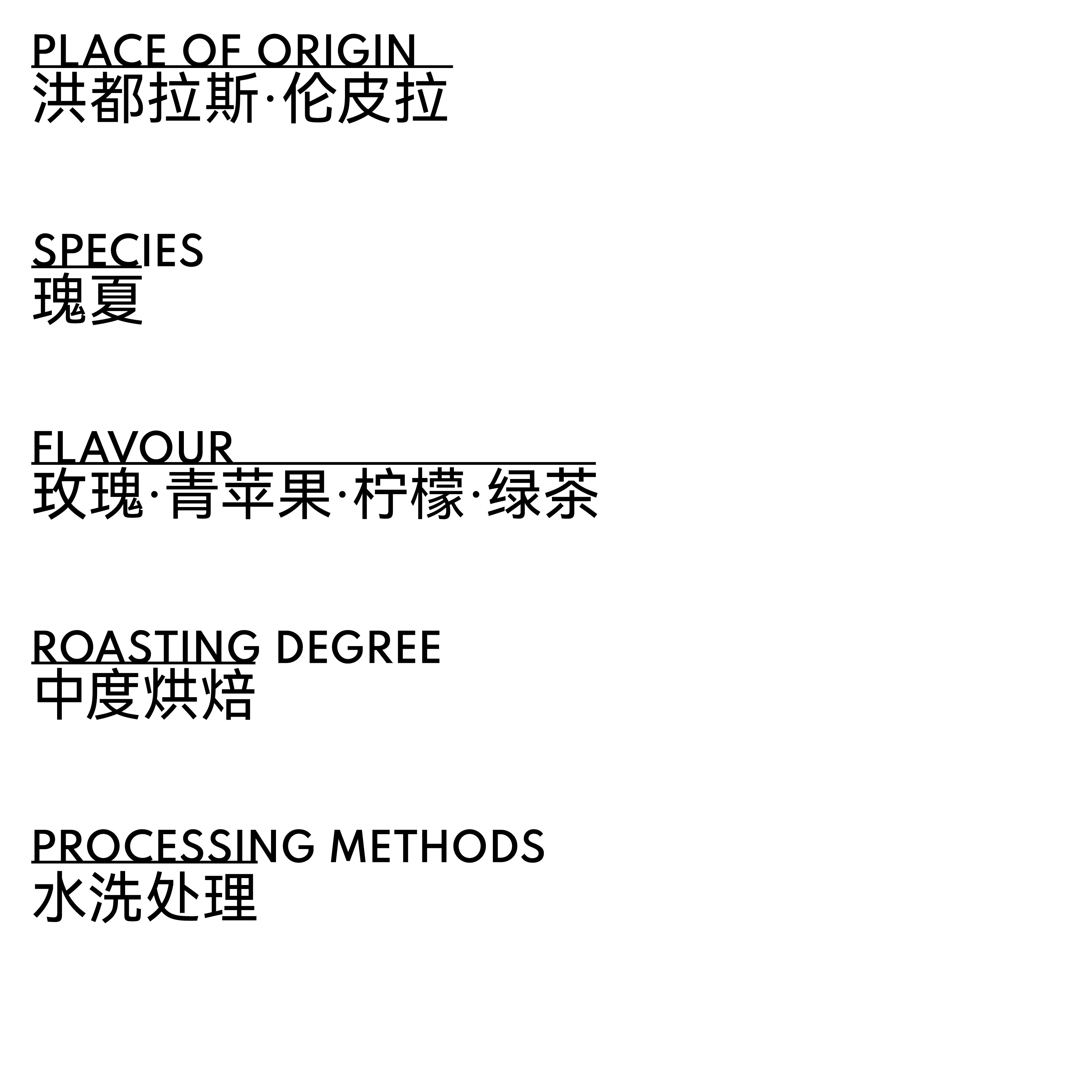 洪都拉斯 利⻢庄园 瑰夏 水洗处理 BEAN2CUP 单品咖啡豆 - 图片 2